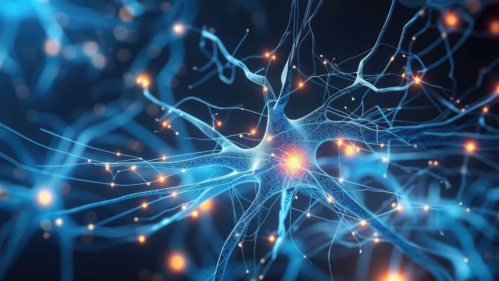 Neurological TTNT Image