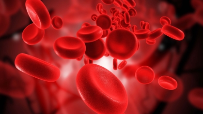 Blood Cells