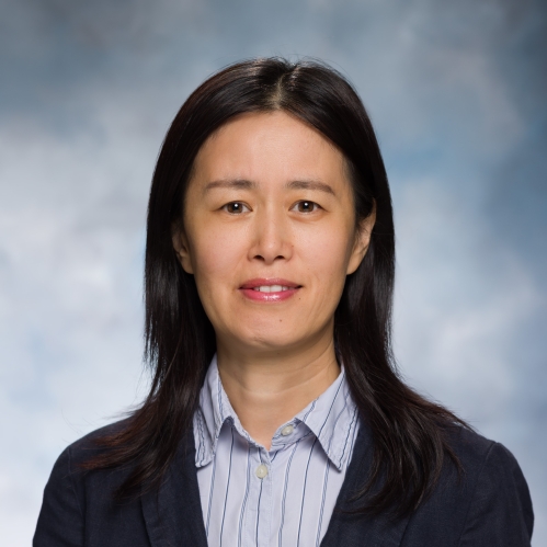 Professional Headshot of Associate Professor Yi Sun