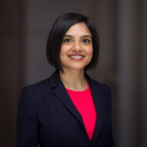 Meena Azeem Professional Photo