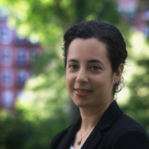 Photo of Irina Mindlis, PhD, MPH