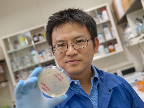 A research faculty member holds a petrie dish