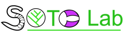 Logo for the Soto Lab
