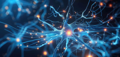 Neurological TTNT Image