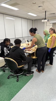 Science Healthy Day 2025 Organ Model